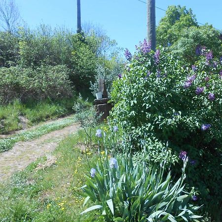 Gite Des Monts Saint-Izaire Exterior foto