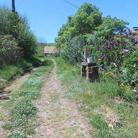 Gite Des Monts Saint-Izaire Exterior foto